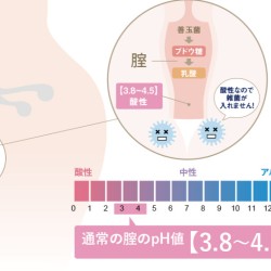 Inclear 私密清潔保濕凝膠 (10支裝)